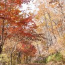 작전역사거리 3,4번 출구 앞 이미지