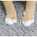 (주)아로펫 이미지