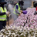 백양산 양묘장 이미지