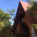 달빛 아리수 이미지