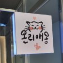 온리애옹 | [시흥 배곧] 고양이 전용 미용실 추천 &#39;온리애옹&#39;에서 여름 미용했어요!