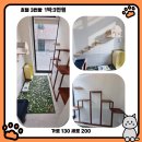 고양이이야기 | [공지] 대전고양이미용&amp;호텔 함께냥 대전점 | 고양이 호텔 4박5일 적응 후기 (하루 이야기)