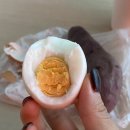 부남미용실 | 2024년 10월 7~13일 | 함안 핑크뮬리 | 세번째 가방수니 👰🏻‍♀️