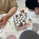 센트스튜디오비