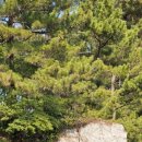 채범석농장 이미지