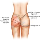 365리셋의원 이미지