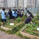 양원숲속도서관 이미지