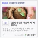 예술애드 이미지