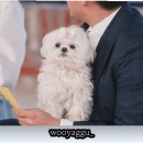 뭉클2