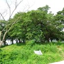 박곡1리마을회관 이미지