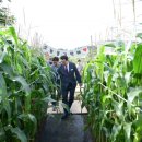 미로정원 이미지