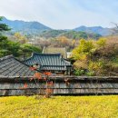 트리하우스민박 이미지