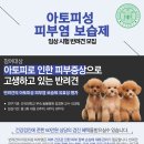 건국대학교 부속 동물병원 이미지