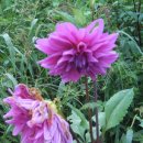 하늘내린황토민박 이미지