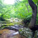 연담마을 이미지