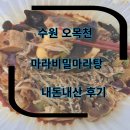 수원-1937 | 수원 오목천 마라샹궈 마라비밀마라탕 내돈내산 포장후기