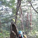 덕풍산장 이미지