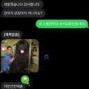 강아지와 함께한 꽃가마웨딩카 스튜디오 웨딩촬영 풀패키지 후기(feat.정병국기사님)