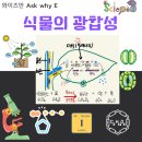 (주)세기개발 | 초등과학학원 창의력 과학 5년 보내본 후기 | 와이즈만 과학 Why 반 수업과 월말평가 이야기