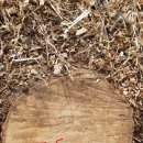 은평-056 이미지