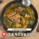청솔감자탕 | 교대 감자탕 맛집 : 청솔게르마늄감자탕