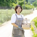 양지영농장 네이버블로그