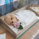 한별 리멤버파크 이미지