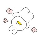 가메스시 이미지