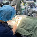 호서메디칼 이미지