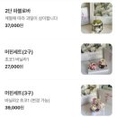플럼무드