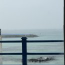 삼양떡방앗간 | Jeju 0618-0619