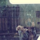 웰리스 클리닉 이미지