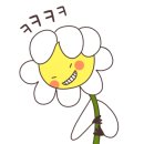 카페이노스