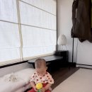 빈스헤어 - 광명시 광덕산로 5 | 소오재 돌스냅 후기 - 이경민스냅, 여운한복, 더헤디메이크업