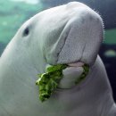 구룡공원 이미지