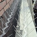 비둘기미용실 이미지