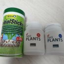 위더스 펫 이미지