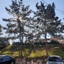 태호통상 | 15th daily(대기환경기사, 아이폰, 명절, 실기 준비)