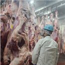 축산물시장(6) 이미지