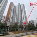 대선초교 이미지