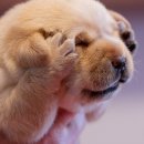 제일자동차보링 | 엔진 헤드 가스켓 교체 비용 레이 엔 진중요 부품 올교체 실후기 부동액감소 이상신호증상