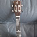 우쿨렐레 연주 이미지