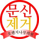 오렌지나무의원 이미지