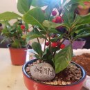 원주민중요양병원 이미지