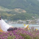 진성카 - 수원시 권선구 정조로 305 | 진성카