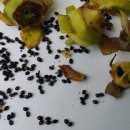 오르농장 이미지