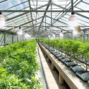 우광농장 이미지