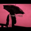 비(雨)........... 이미지