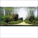 어항 | 어항 백스크린 후기 보고 바뀐 거실 분위기