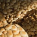 금이농장 이미지